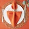 DII® Burnt Orange Dobby Stripe Cloth Dinner Napkins, 6ct.